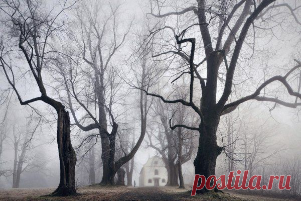 Серия фотографий “Родина братьев Грим / Удивительное искусство