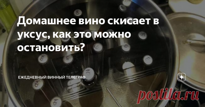Домашнее вино скисает в уксус, как это можно остановить? Какими методами можно остановить размножение уксуснокислых бактерий? Как это отразится на самом вине?
В среде домашних виноделов на тему «скисания вина в уксус» существует огромное количество мифов и довольно странных ошибочных представлений и практик по борьбе с этим дефектом вина. Обычно, когда где-то на каком-то форуме или ином сообществе, кто-то из начинающих виноделов спрашивает «Что делать,