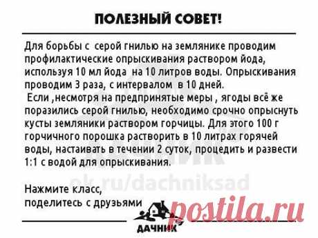 подкормки огурцов