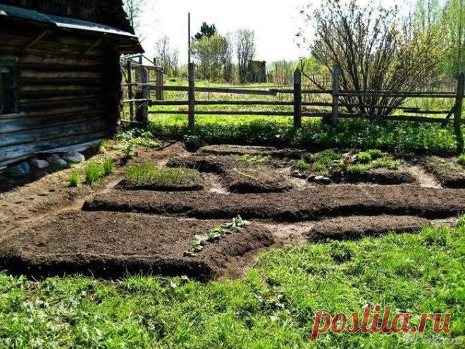 Десятка типичных ошибок садовода .