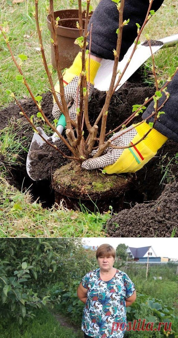 1 непрочитанный чат