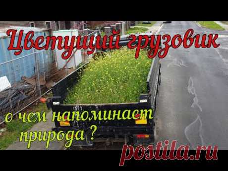 Локдаун затянулся, цветущий грузовик - YouTube