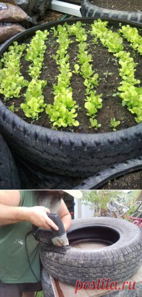 Делаем красивые клумбы из старых автопокрышек.