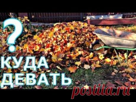 Интересно и позначательно на Ютубе. - Садоводка