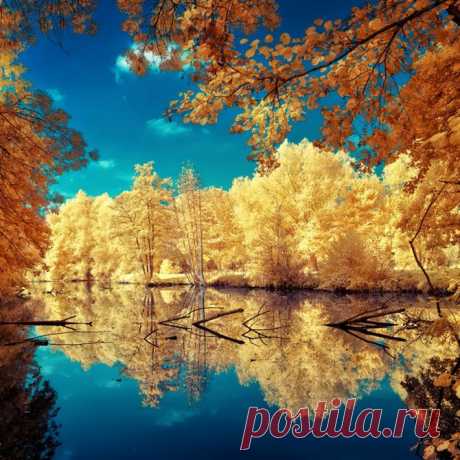 осень золотая