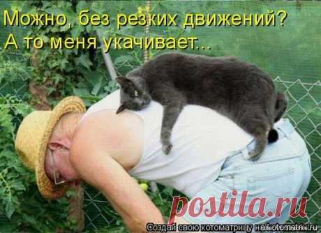 Дачная лихорадка - веселая подборка | Дачный участок