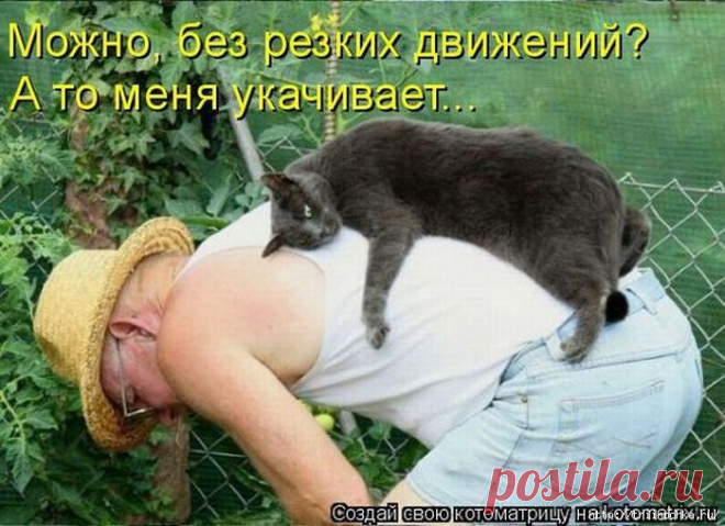 Дачная лихорадка - веселая подборка | Дачный участок