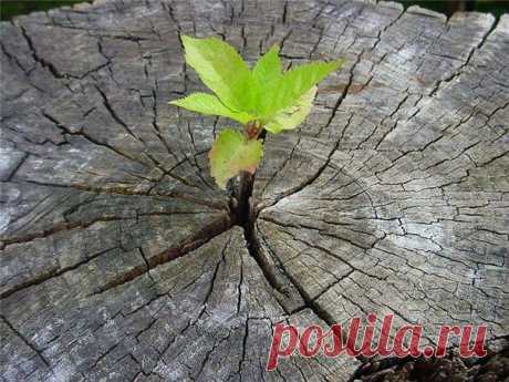 *Соприкосновение с природой есть самое последнее слово всякого прогресса,науки,рассудка,здравого смысла,вкуса и отличной манеры.*
                                                                                                                                Ф.Достоевский.