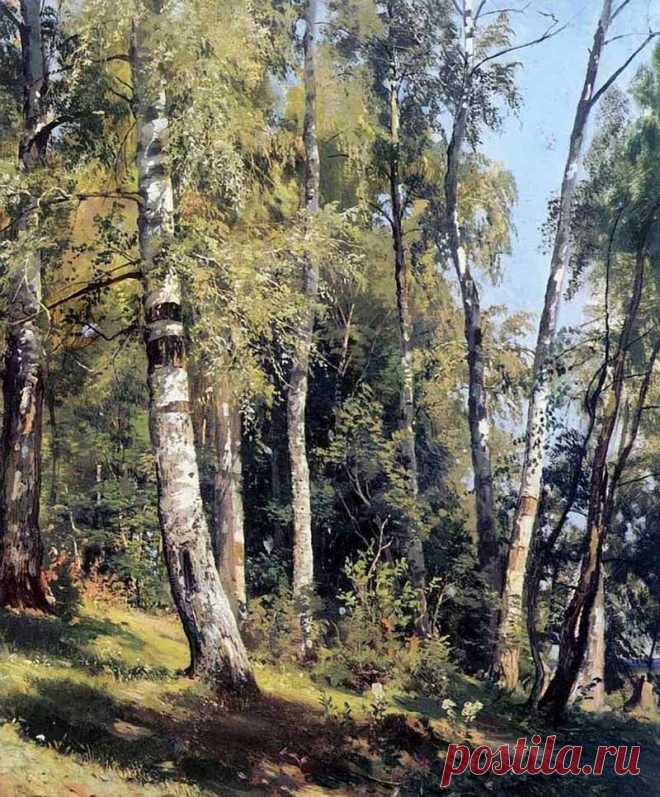 Иван Иванович Шишкин - великий русский пейзажист.
1832 - 1898.