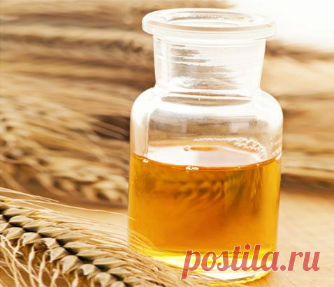 Масло зародышей пшеницы – жизнь в каждой капле