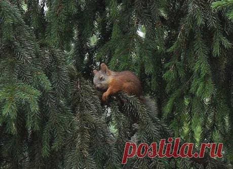 Напрыгалась за день... Устала маленькая :)