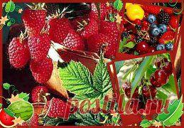 (99) Одноклассники