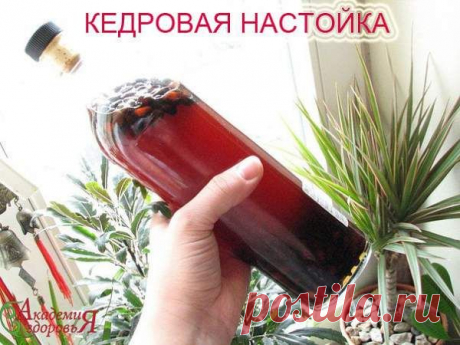 Кедровая настойка - Простые рецепты Овкусе.ру