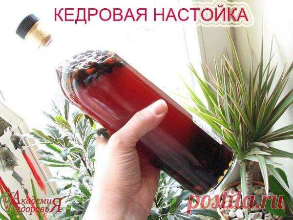 Кедровая настойка - Простые рецепты Овкусе.ру