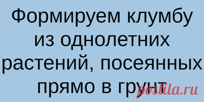 Формируем клумбу из однолетних растений, посеянных прямо в грунт
Любой цветник можно украсить однолетними цветами. Яркость их красок и гармония композиции...
Читай дальше на сайте. Жми подробнее ➡