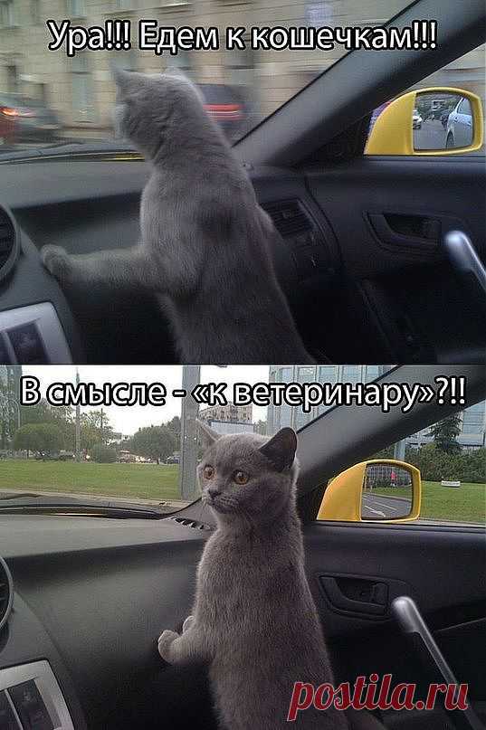 )))