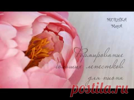 пион