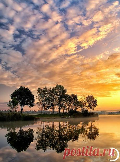 легенда о дереве