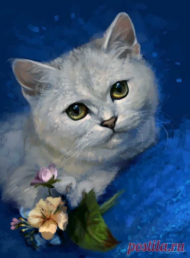 Фото Британская кошка на синем фоне с цветами, by Salamandra-s, страница