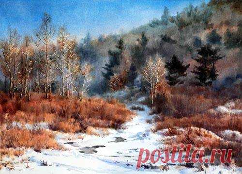 (5) Facebook