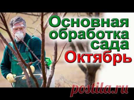 ИСКОРЕНЯЮЩАЯ ОБРАБОТКА САДА. САДОВЫЕ РАБОТЫ В ОКТЯБРЕ