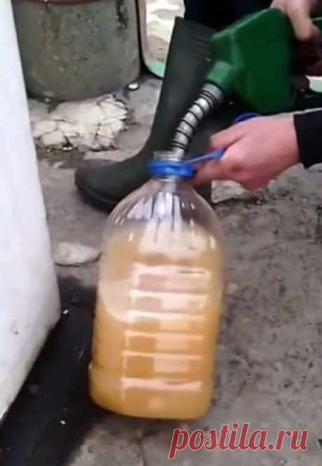 Что заливают на заправке (видео)