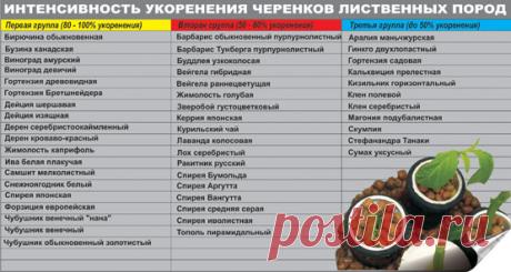 Горецкие красоты