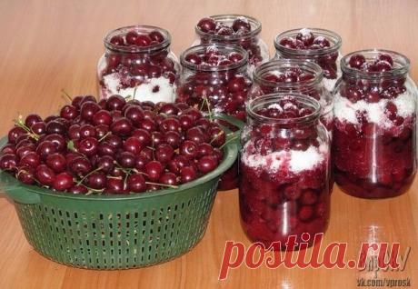 ТОП-10 РЕЦЕПТОВ КОНСЕРВАЦИИ ИЗ ВИШНИ

1. ВАРЕНЬЕ ИЗ ВИШЕН С КОСТОЧКАМИ 
Для варенья пригодны темноокрашенные плоды, характеризующиеся интенсивной окраской кожицы и мякоти. Варенье с косточками обладает приятным миндальным ароматом. Плоды промыть, высушить, наколоть или погрузить в кипящую воду на полминуты, затем залить горячим сиропом, приготовленным с использованием половины необходимого количества сахара. После заливки сиропом плоды оставить на 4—6 часов, затем сироп от...