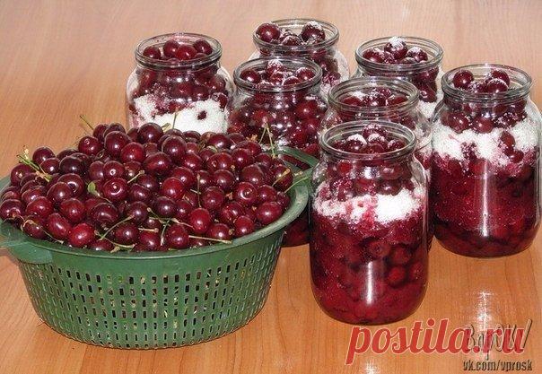 ТОП-10 РЕЦЕПТОВ КОНСЕРВАЦИИ ИЗ ВИШНИ

1. ВАРЕНЬЕ ИЗ ВИШЕН С КОСТОЧКАМИ 
Для варенья пригодны темноокрашенные плоды, характеризующиеся интенсивной окраской кожицы и мякоти. Варенье с косточками обладает приятным миндальным ароматом. Плоды промыть, высушить, наколоть или погрузить в кипящую воду на полминуты, затем залить горячим сиропом, приготовленным с использованием половины необходимого количества сахара. После заливки сиропом плоды оставить на 4—6 часов, затем сироп от...