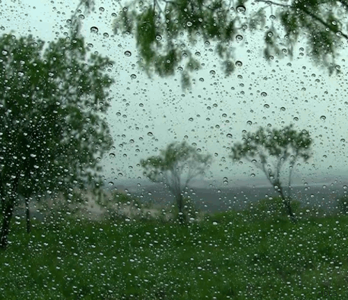 The 20 Most Beautiful Animated Rain Gifs - Positive Energy