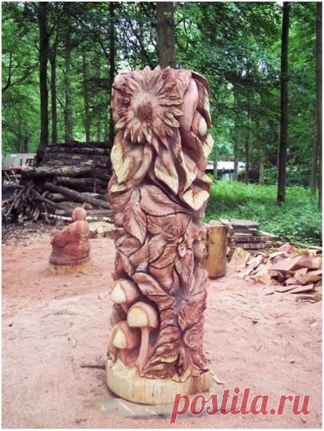 «Вторая жизнь» вырубленных деревьев