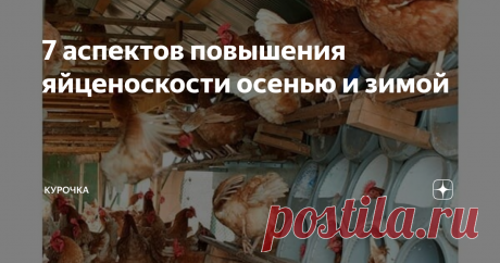 7 аспектов повышения яйценоскости осенью и зимой Добрый день, опытные и начинающие птицеводы. Сегодня будем рассматривать практические аспекты повышения яичной продуктивности в осенний и зимний периоды. Во-первых, про факторы, определяющие значение качественных и количественных показателей яичной продуктивности.
Это – технология кормления и содержания, породная принадлежность, генотип, физиологическое состояние, возраст и масса и др.
Нередко пти