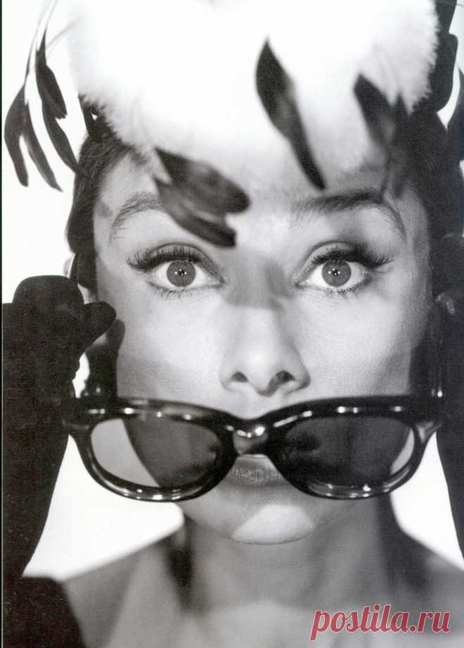 8560891208_15f17bb6ec_3k.jpg (2205×3072)