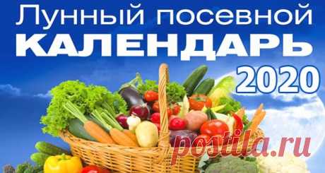 Лунный посевной календарь огородника на 2020 год (таблица)