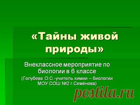 Тайны живой природы - Презентация 166217-1
