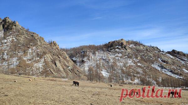 Абрамченко рассказала о стремительном развитии турпотока с Монголией