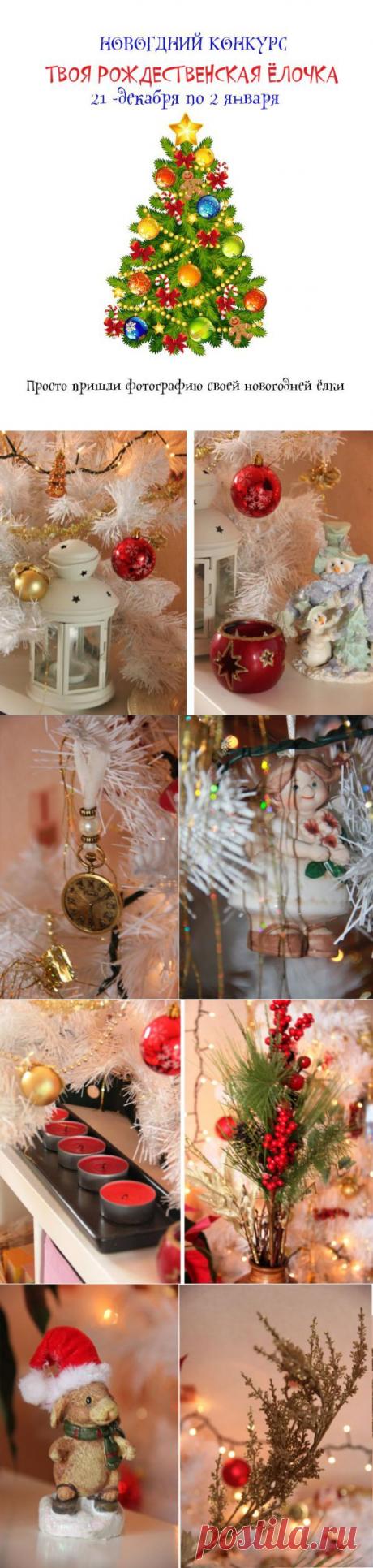 Красивые новогодние елки фото