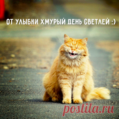 ага