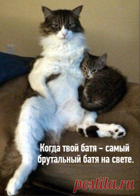 Пост о мужчинах и папах... вот такой пост ))
