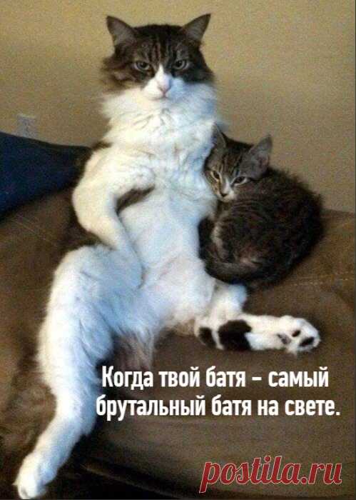 Пост о мужчинах и папах... вот такой пост ))