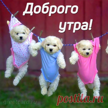 Пусть будет утро добрым,
Пусть будет день прекрасным!
Пусть будет настроение
Веселым, светлым, ясным!