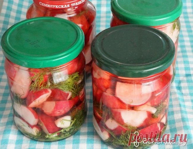 Редис консервированный: Группа Собираем урожай: хвастики, рецепты, заготовки