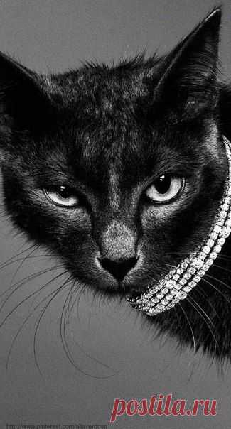 Светлана Сухинина