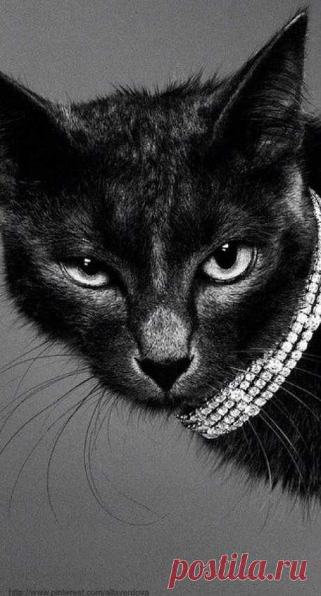 Светлана Сухинина