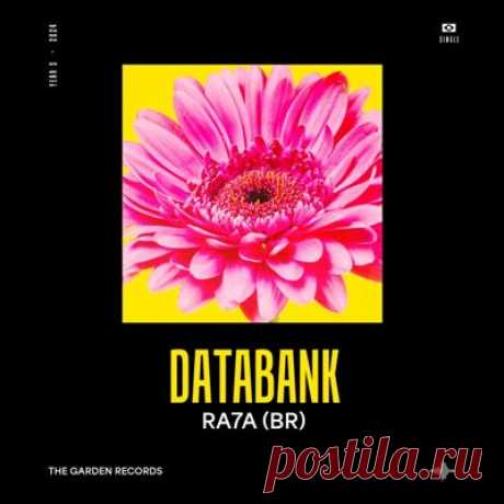 RA7A (BR) - Databank