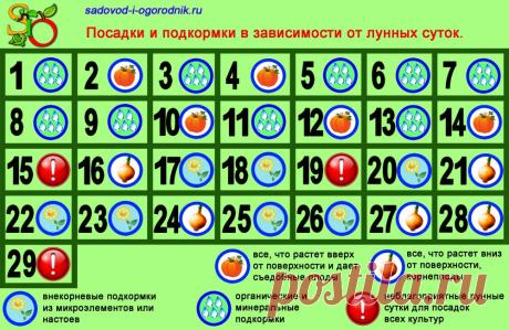 Луна в знаках зодиака: растущая и убывающая, фазы и влияние знаков на посадки. Учимся лучше понимать лунный календарь.