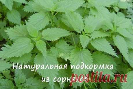 (13) Одноклассники
