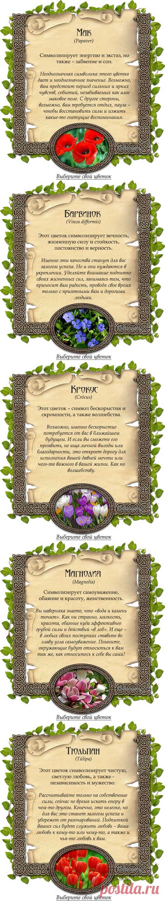 Супер! Мне гадалка понравилась