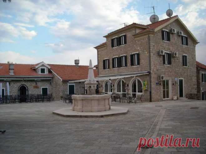 (3) Olga Vasilevskaya
Herceg Novi