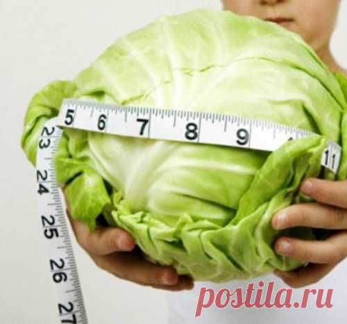 Капустная суп-диета. Результат потрясающий!